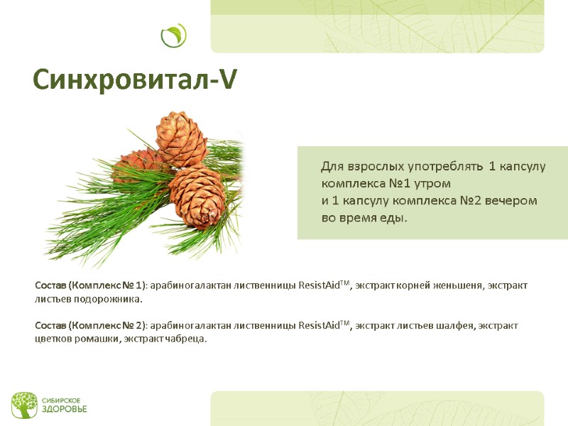 Состав (Комплекс № 1): арабиногалактан лиственницы ResistAidTM, экстракт корней женьшеня, экстракт листьев подорожника. 